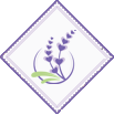 Solo Sukhumvit Logo